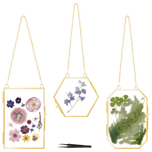 3Pcs Pressed Flower Frames with Tweezers Hanging Glass Picture Frames with Metal Chain Gold Double Glass Frame Elegant Hanging Picture Frames for Artwork Display