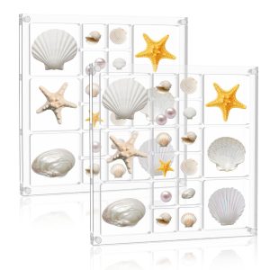 2Pcs Magnetic Seashell Display Box Acrylic Seashell Display Case Clear Seashell Collection Box Portable Acrylic Seashell Container Acrylic Seashell Display Box for Small Stone Bead
